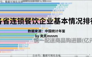 各省连锁餐饮企业基本情况排行-数据可视化