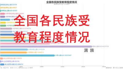 全国各民族教育程度情况