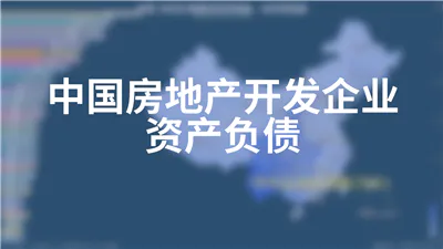 中国房地产开发企业资产负债