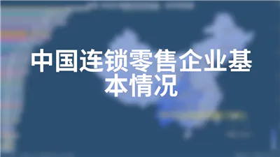 中国连锁零售企业基本情况