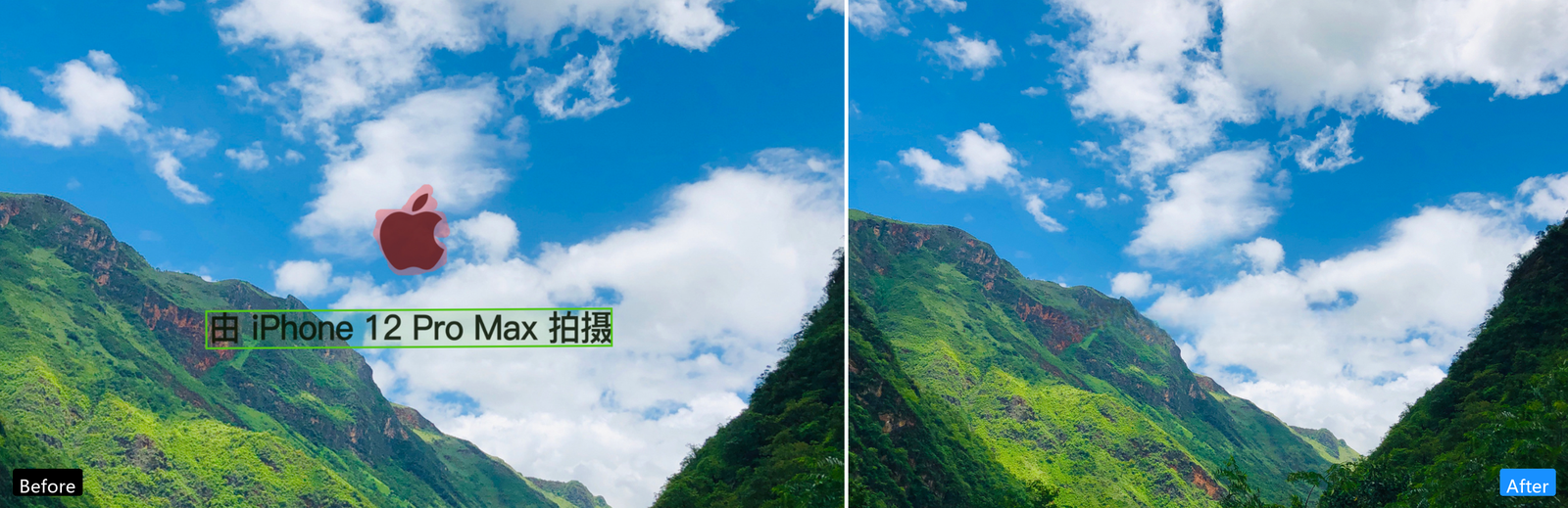 AI 智能修复与导出