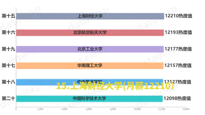 2024年大学毕业生薪酬水平排行榜top20