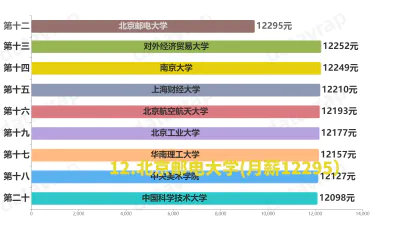 2024年大学毕业生薪酬水平排行榜top20