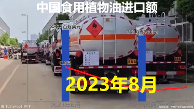 中国食用植物油进口额