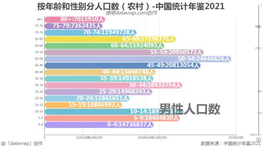 按年龄和性别分人口数（农村）-中国统计年鉴2021