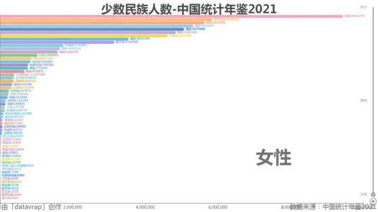 少数民族人数-中国统计年鉴2021