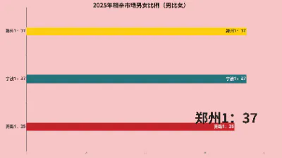 2025年相亲市场男女比例（男比女）