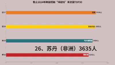 截止2024年跨国婚姻“洋媳妇”来源国TOP30