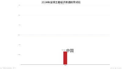 2024年全球主要经济体通胀率对比