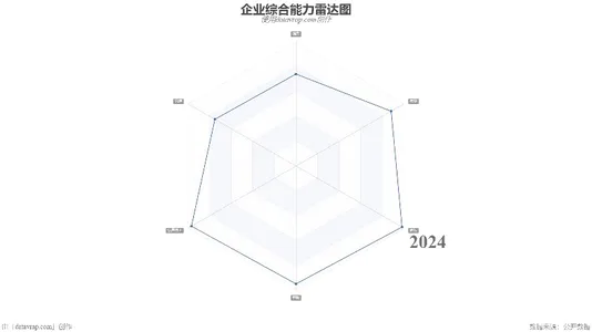 企业综合能力雷达图