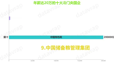 年薪达20万的十大冷门央国企