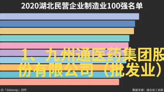 2020湖北民营企业制造业100强名单