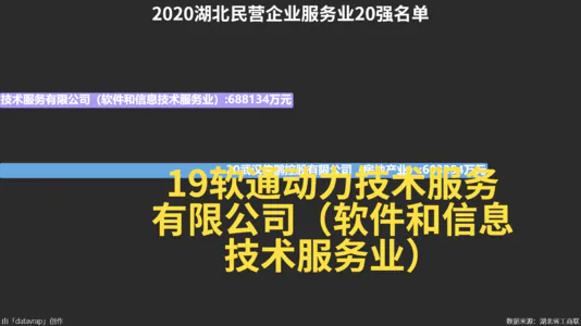 2020湖北民营企业服务业20强名单