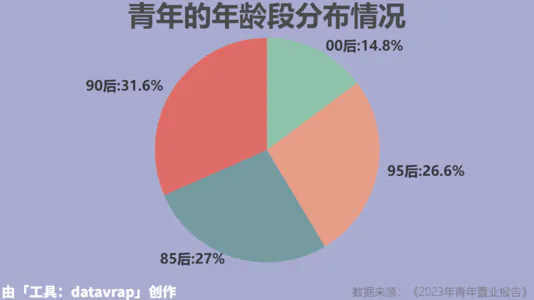 青年的年龄段分布情况