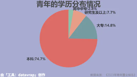 青年的学历分布情况