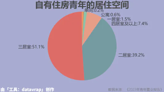 自有住房青年的居住空间