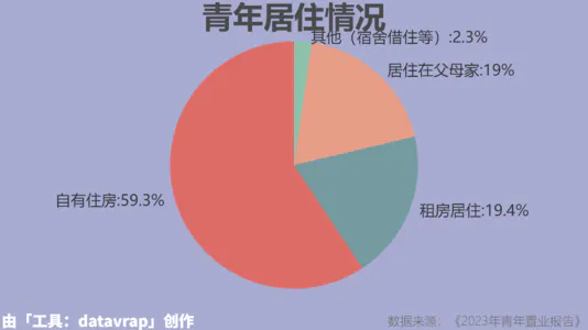 青年居住情况