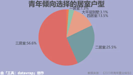 青年倾向选择的居室户型