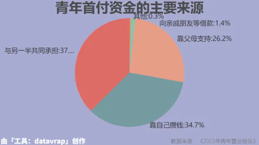 青年首付资金的主要来源