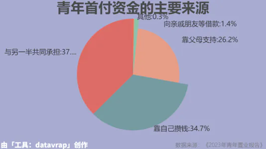 青年首付资金的主要来源